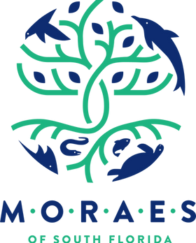 MORAES_Logo_CMYK copy.png