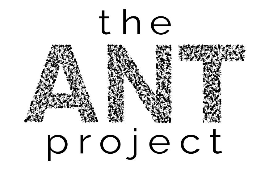 Ant Project.jpg