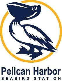 PelicanHarbor1.jpg