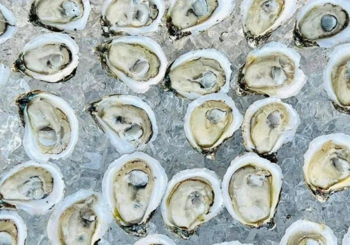Several fresh raw oysters from Eagle Point on ice.