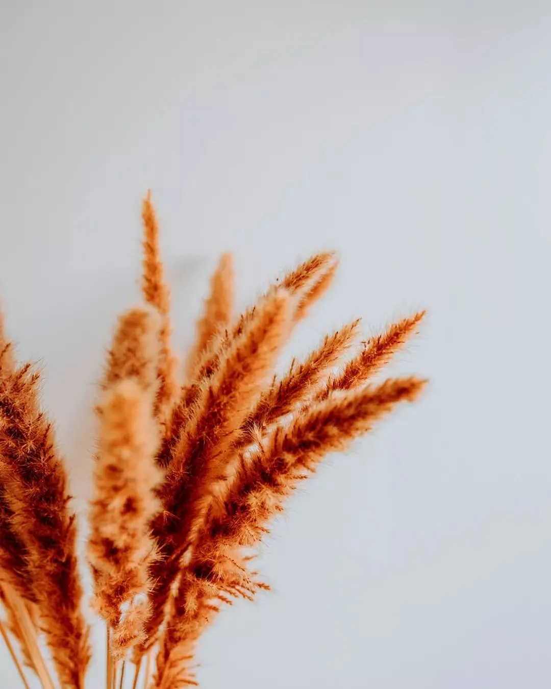 Stopped your scroll to remind you: it&rsquo;s all in the details.