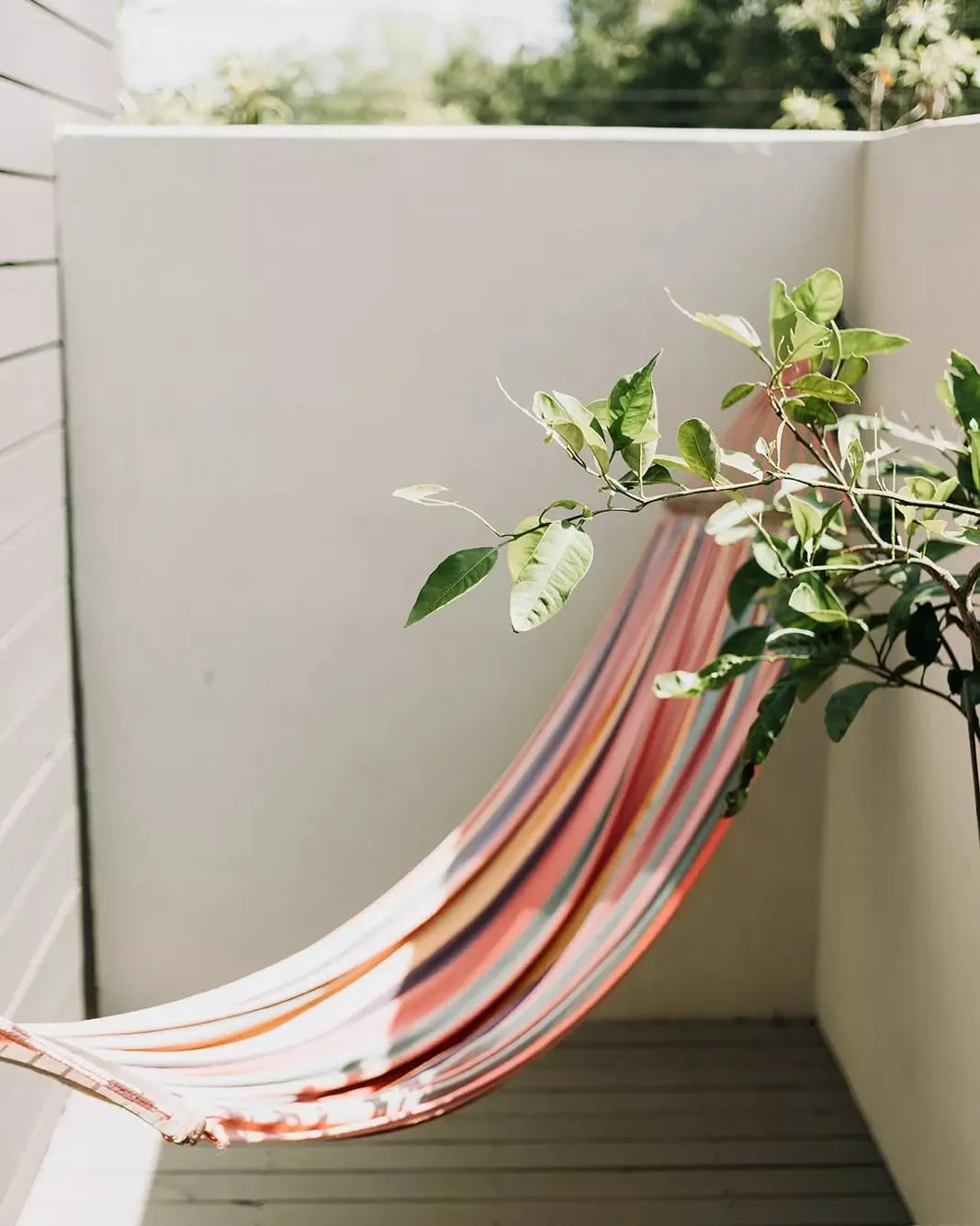 Your afternoon plans: a hammock, a little sunlight, and a chance to disconnect. 🌿