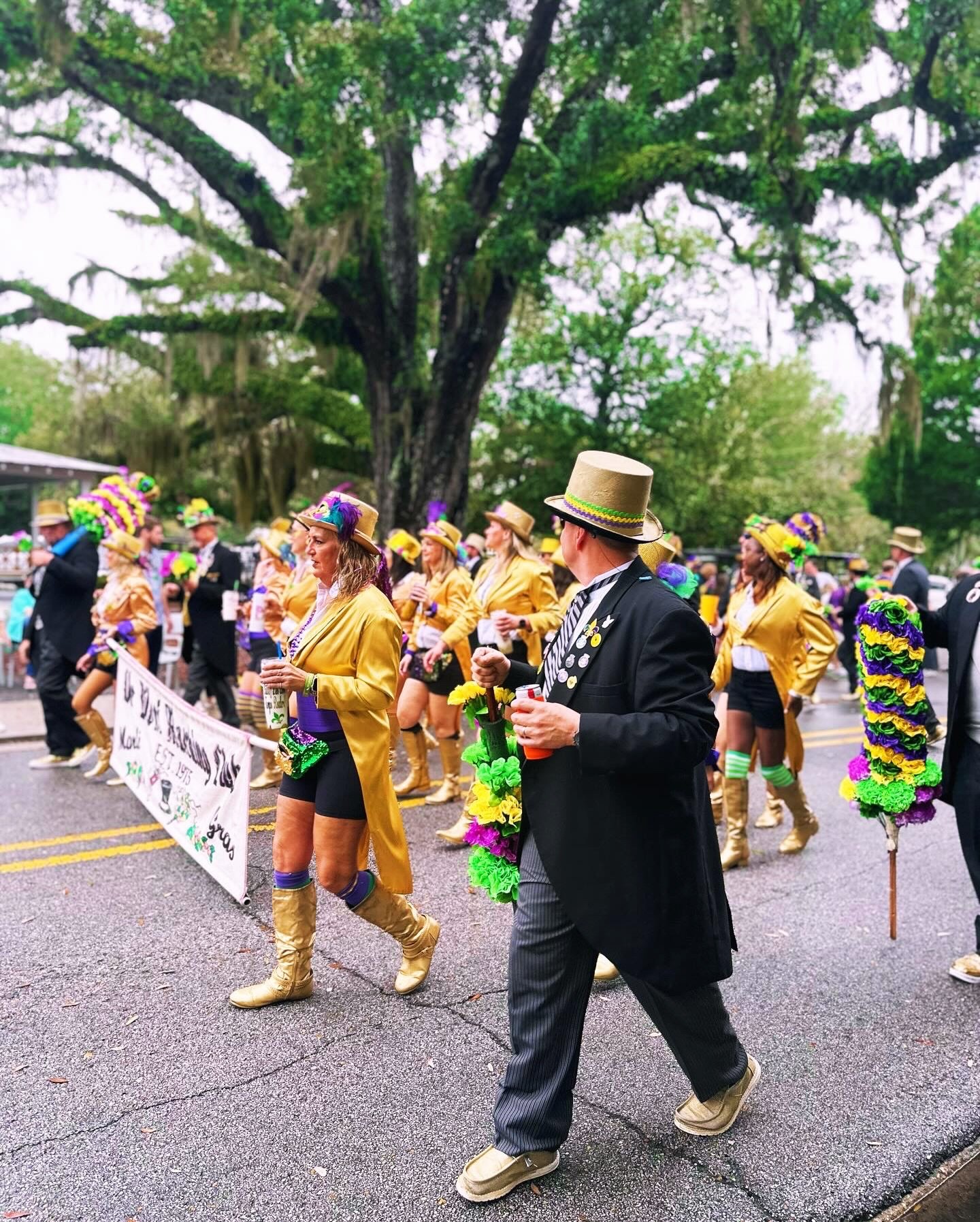 Parade day is calling, Beatniks! 🎭

Only 3 cabins left &amp; we&rsquo;re right on the parade route! 

January 31, Saturday 1pm
Ocean Springs Elks and Krewe Unique Parade 
#mardigras2026