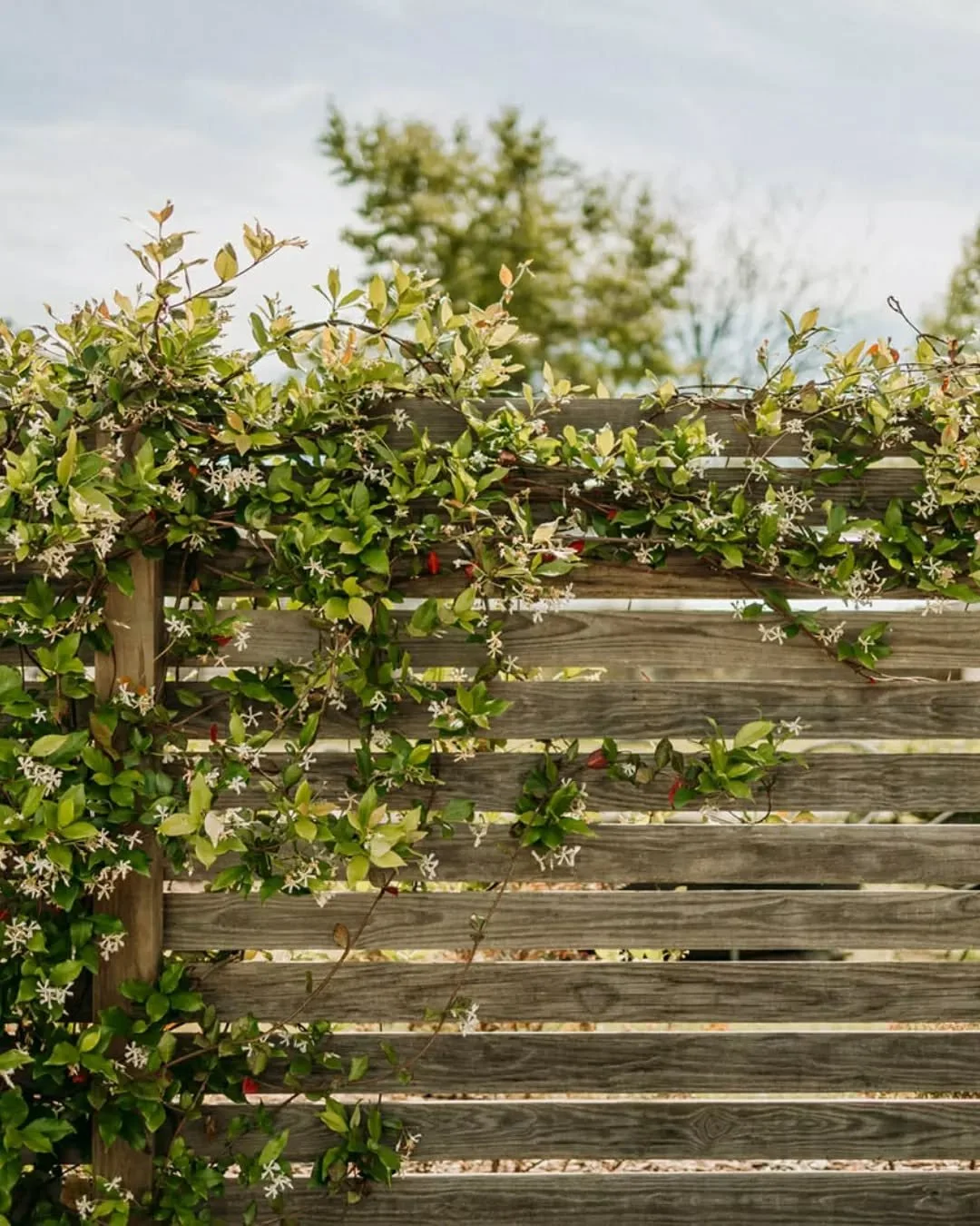 A place to slow down.