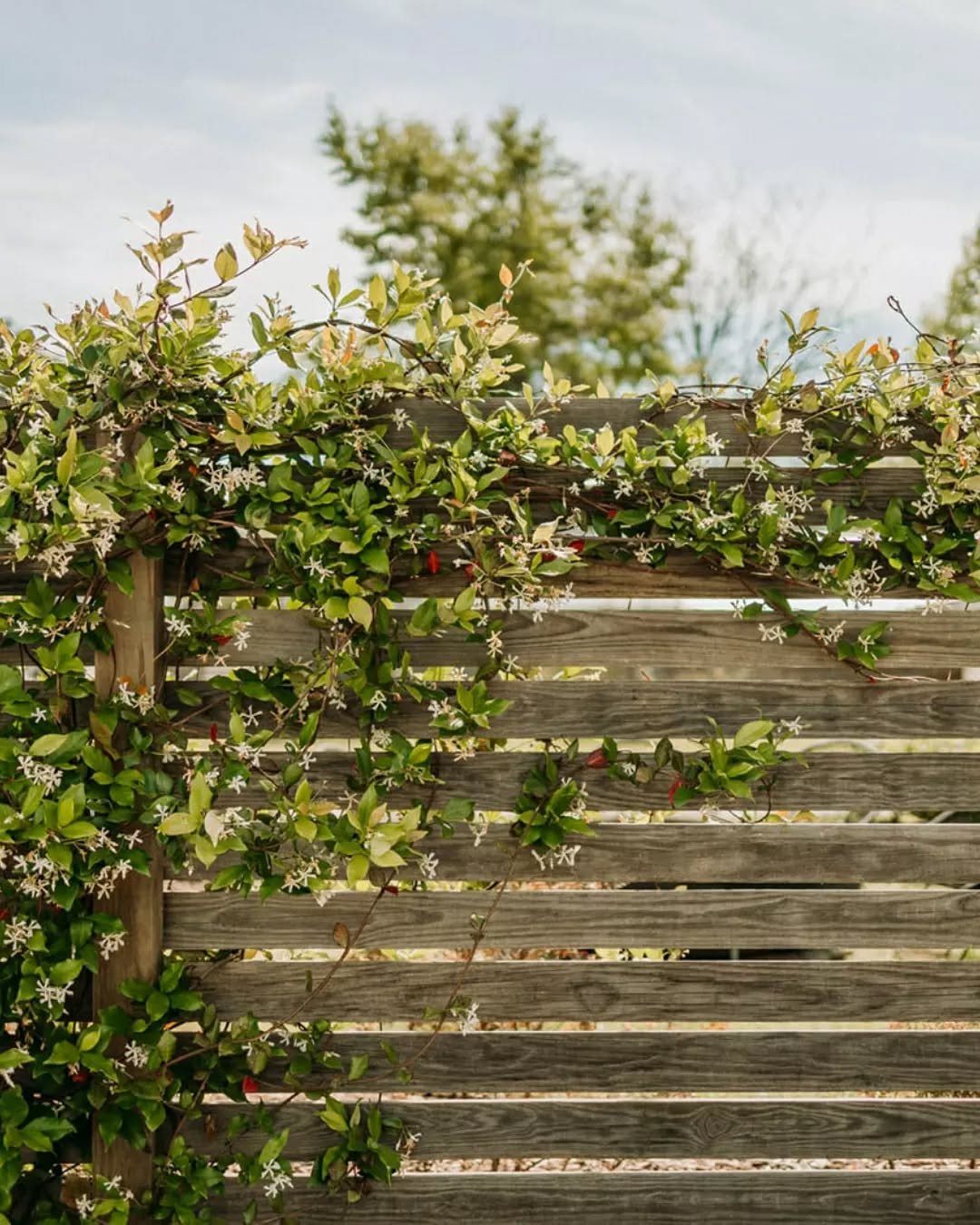 A place to slow down.