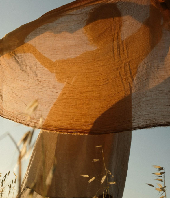 Close-up of a sheer, tan fabric with sunlight shining through, displaying a shadow of a person's face and part of their body, with tall grass in the foreground.