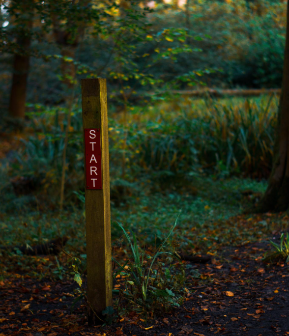 A wooden post with a red sign reading 'START' in a wooded area, surrounded by leaves and trees.
