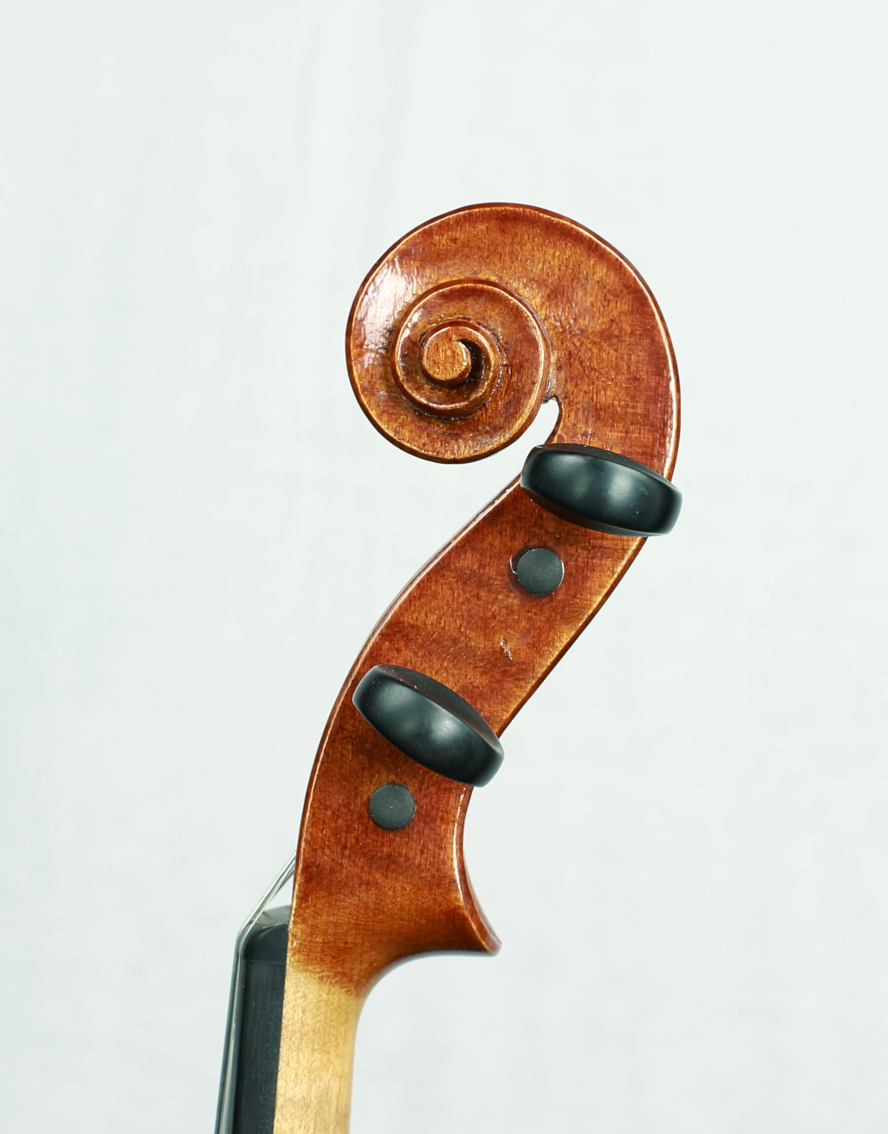 Molly's head treble side.JPG