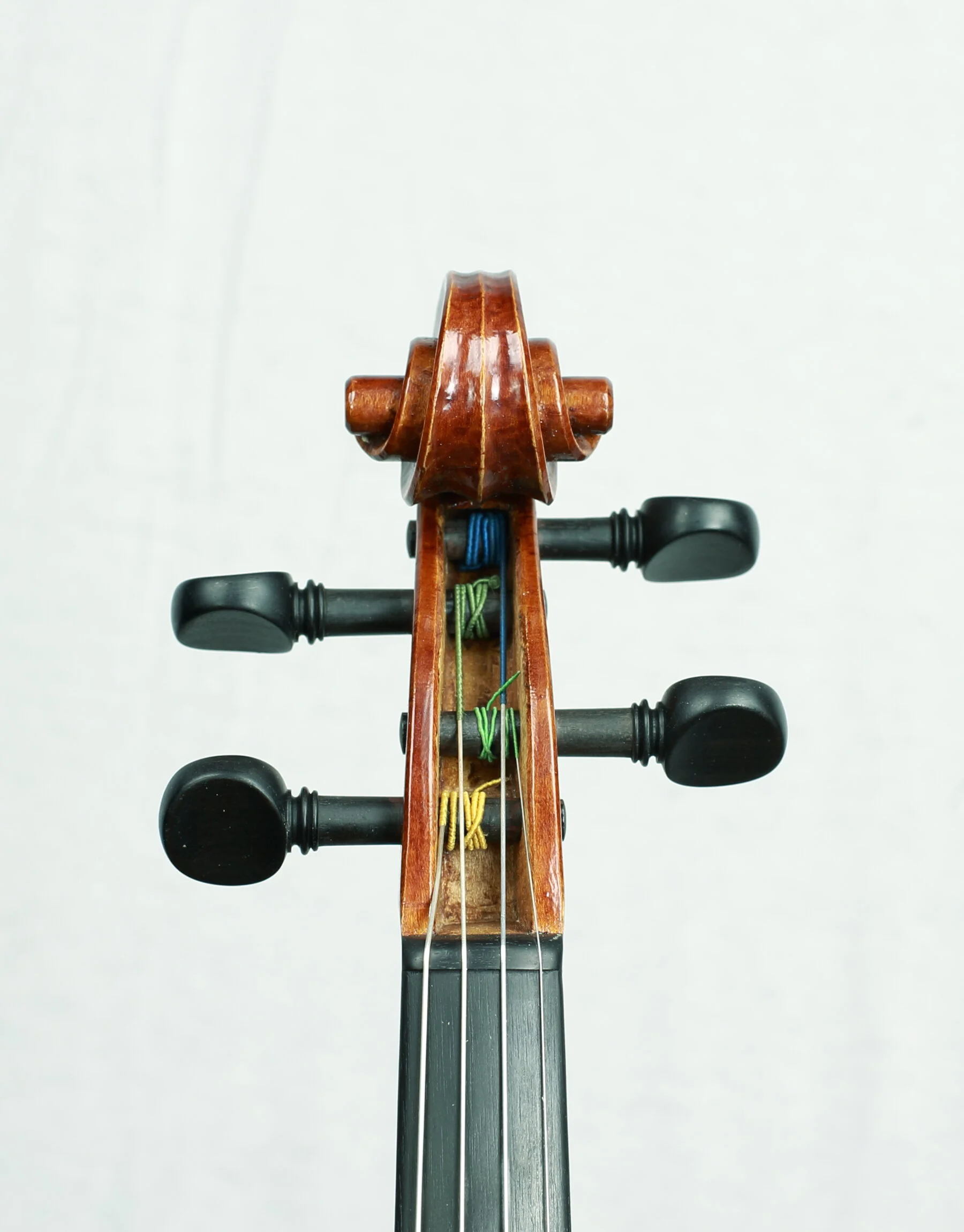 Molly's head front.JPG