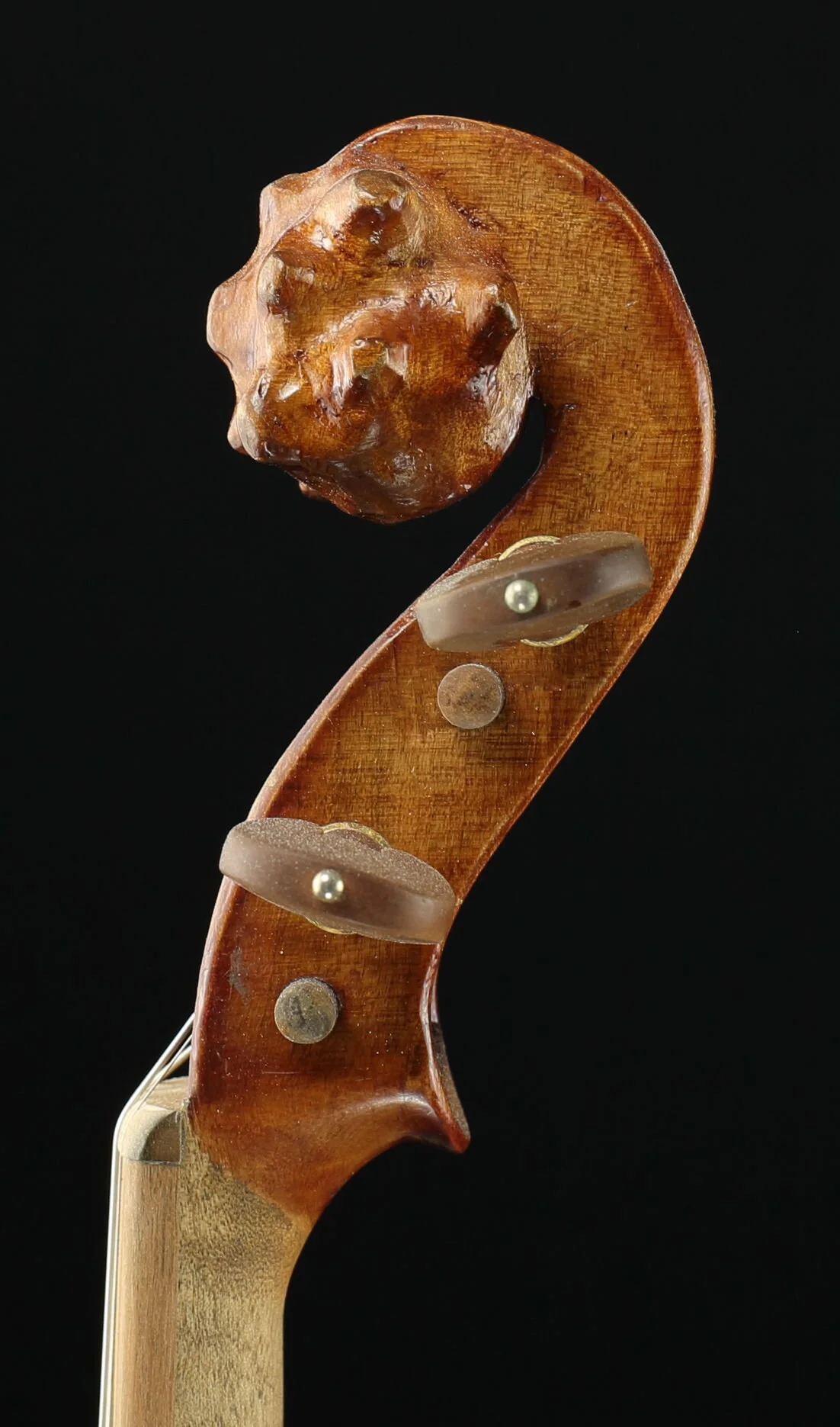 2002 fiddle- scroll, treble side.JPG