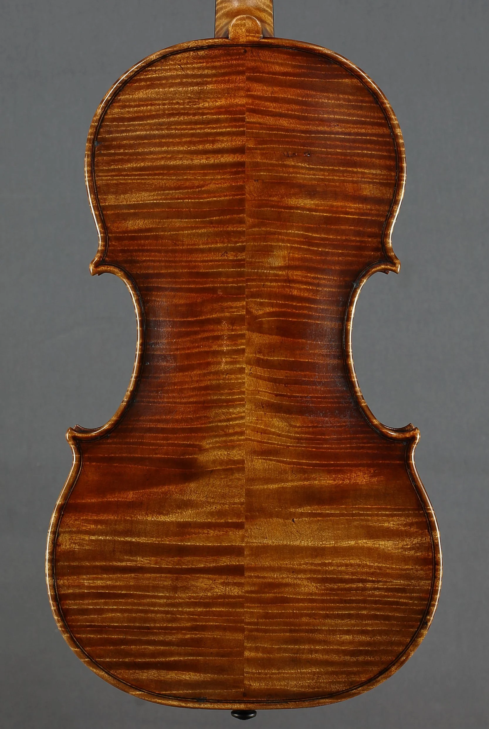 Emma's 5-String 2021, back body.JPG