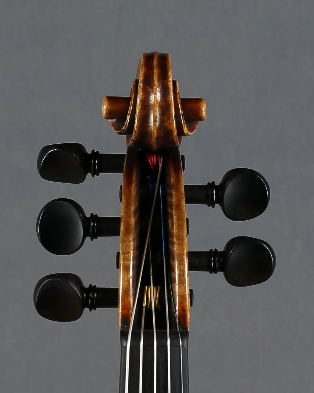 Emma's 5-String, scroll front.JPG