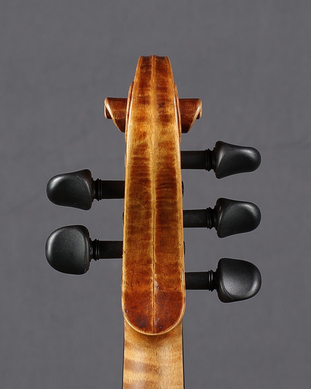 5-String 2021, Scroll back.JPG