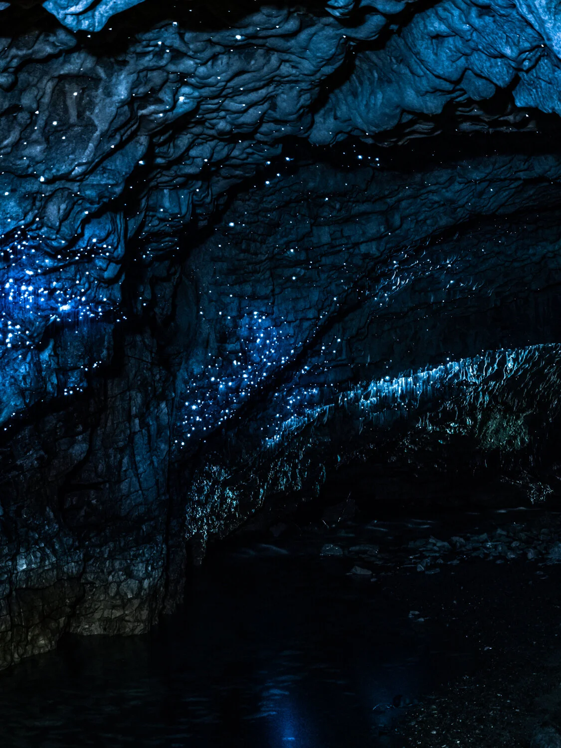 20190109-2019-01-10 - Waitomo Caves 05.jpg