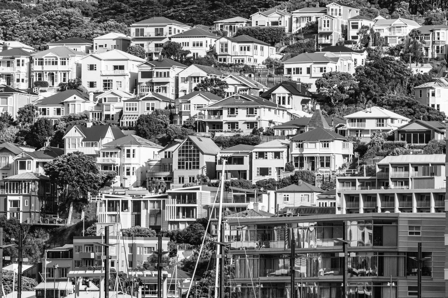 20190113-2019-01-12 - Wellington.jpg