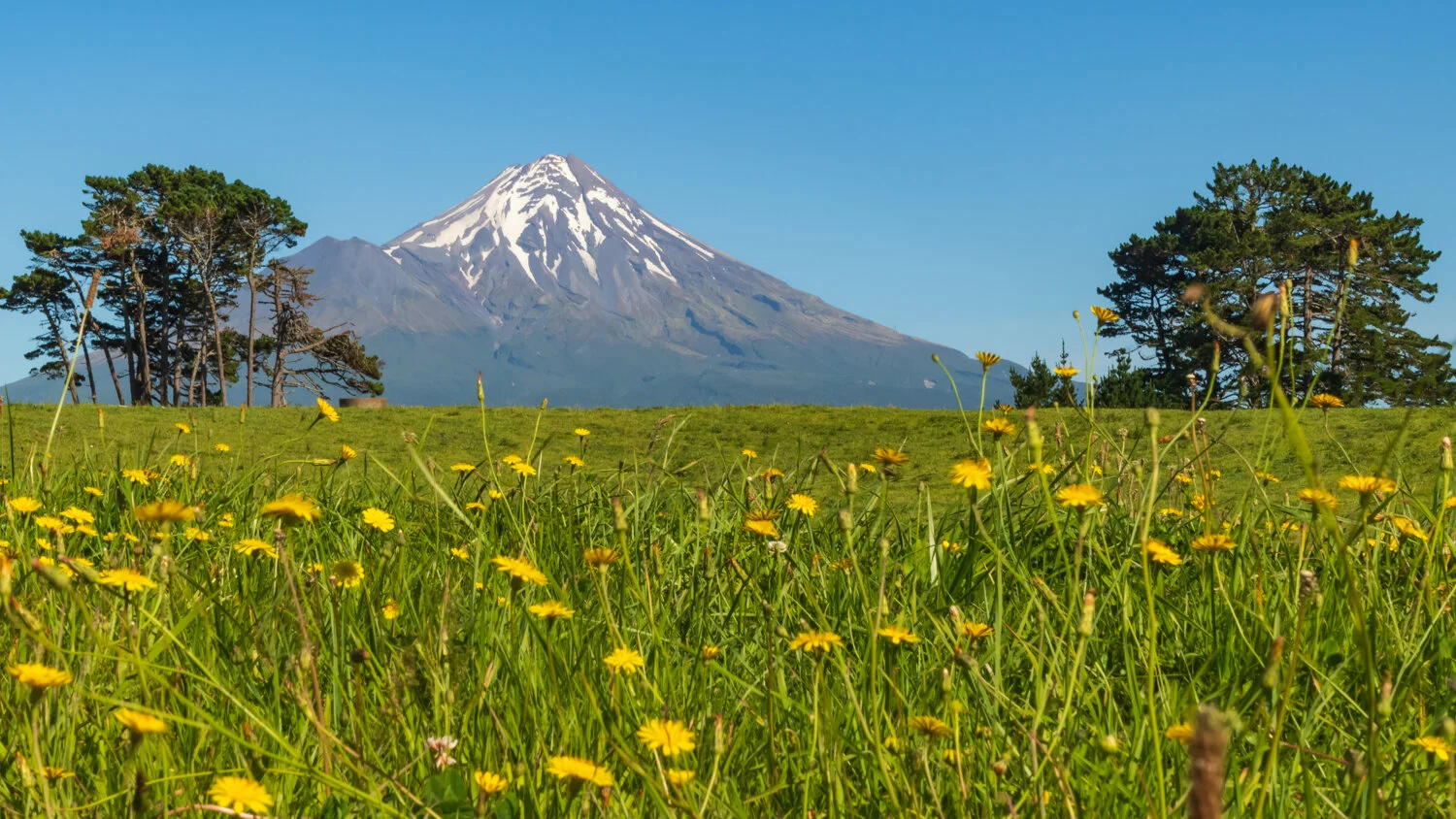 20190111-2019-01-12 - Mount Taranaki (11).jpg