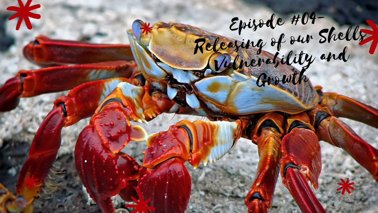 Episode #4- Releasing our Shells: Vulnerability and Growth in Life Cycle Changes