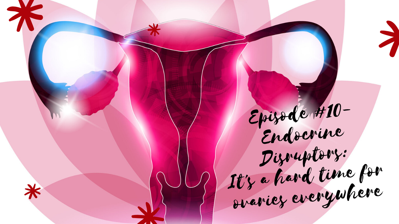Episode #10- Endocrine Disruptors: It's a hard time for ovaries everywhere!