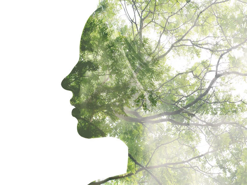 Episode #37 &nbsp;5 Steps Towards Embodied Feelings for a Whole, Alive and Powerful Self
