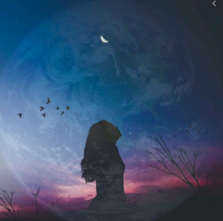 Wild and Whole- 5 Week Journey to Recenter, Realign and Rewild