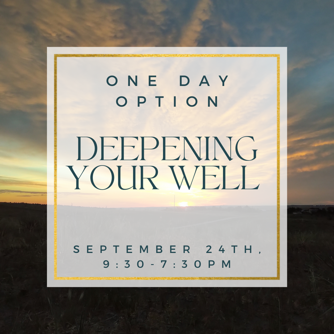 Option 1- One Day Experience