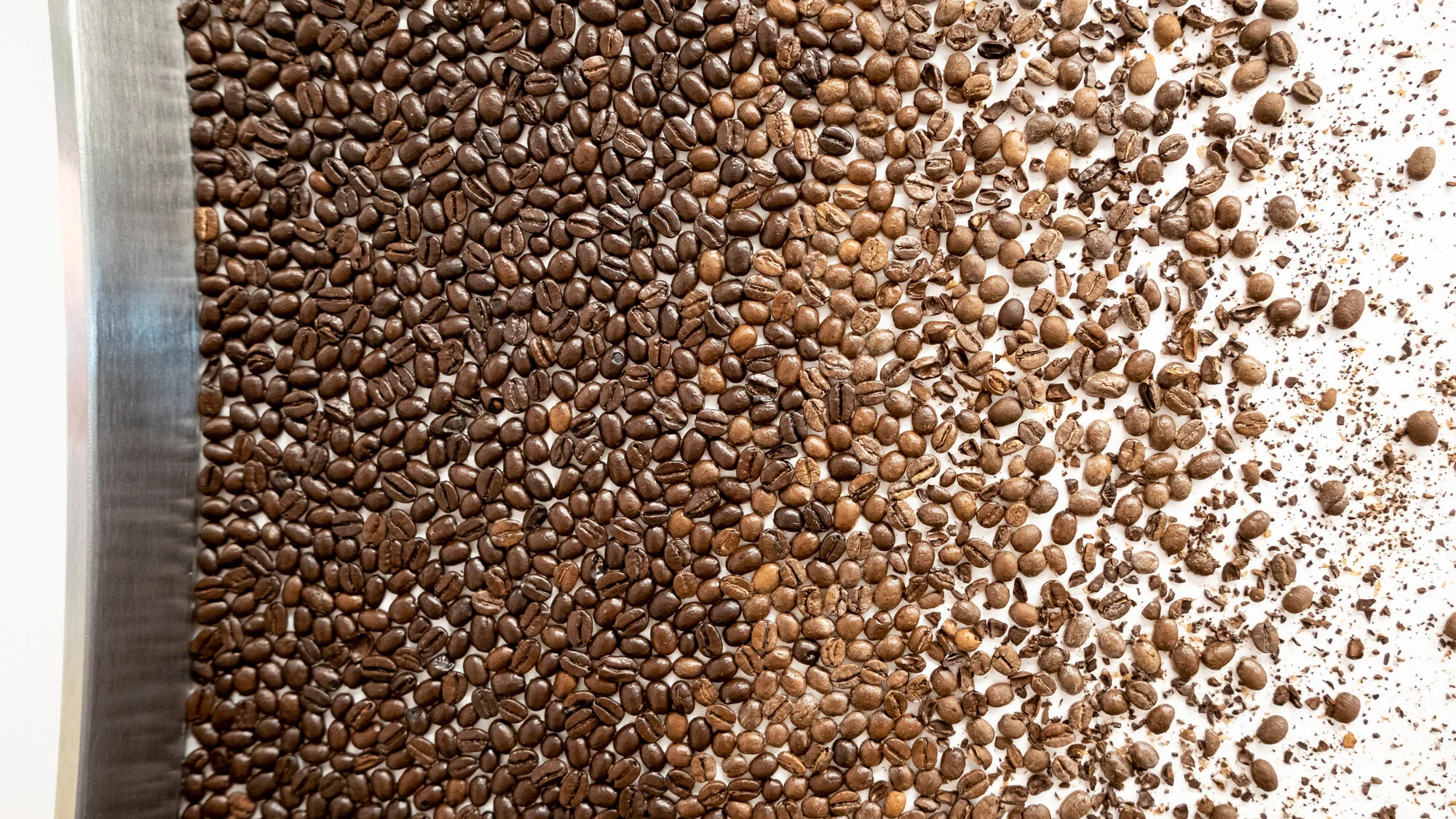 FL18_AOCoffee_Detail.jpg