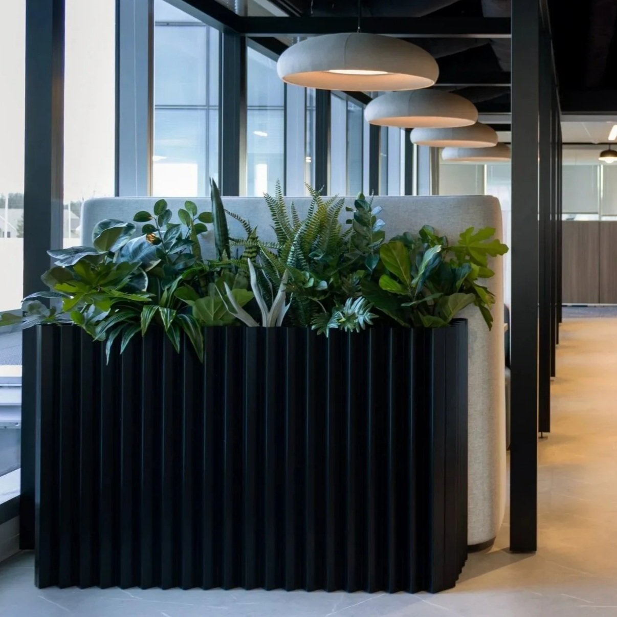 Plantscapes &amp; Greenery