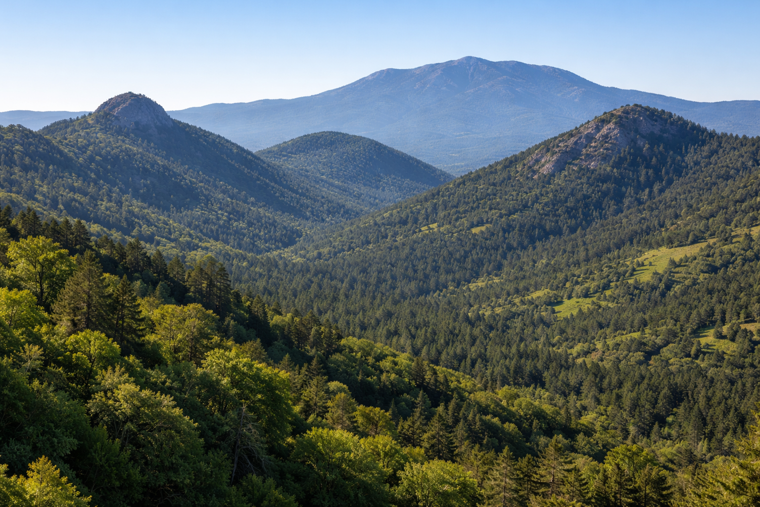 An Ayurvedic Wish for 2026: Balance for the Body, the Earth, and the Soul 