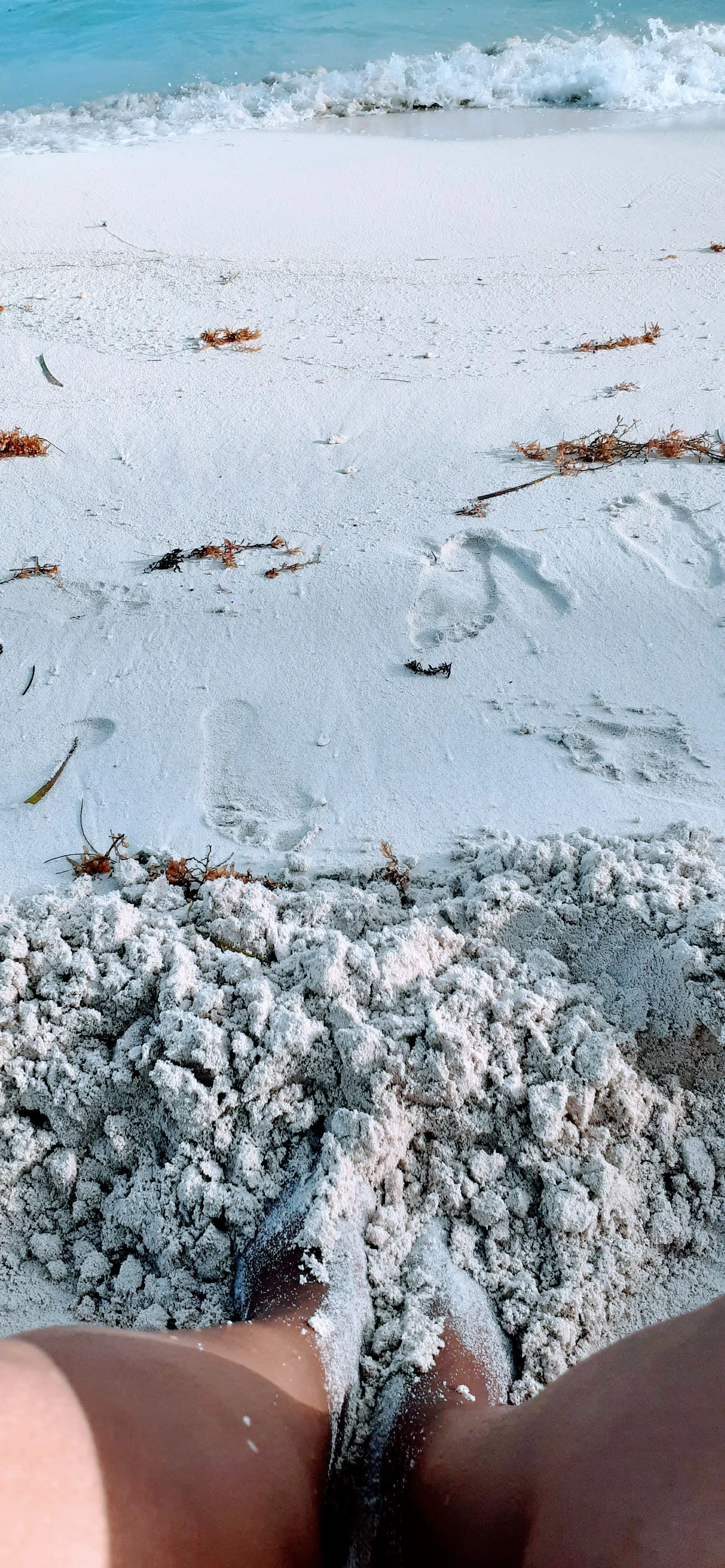 Living a Satisfied Life: A Holistic Approach to Prioritizing Decisions