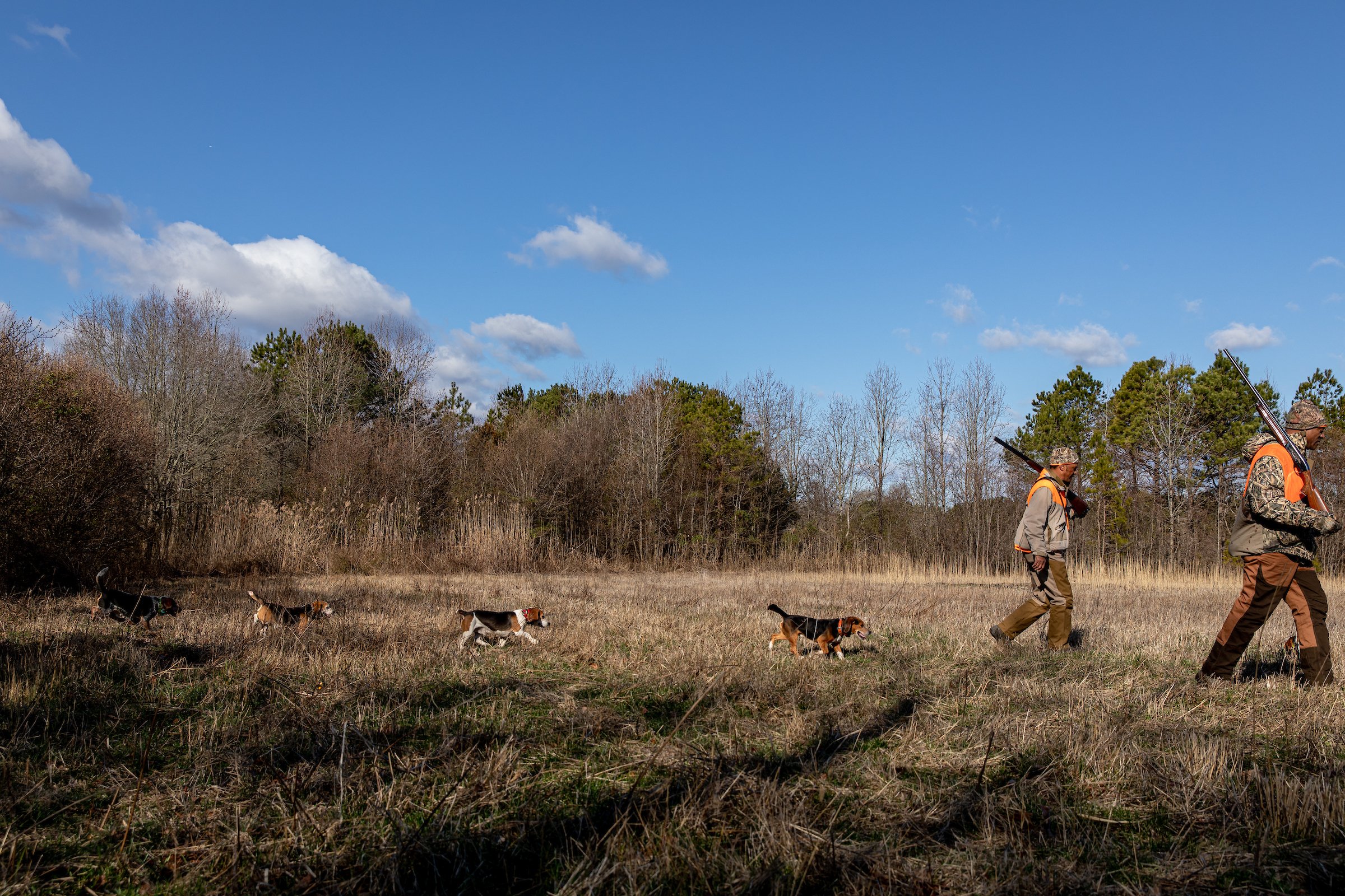 Rabbit Hunting_2020-02-27_TSUCALAS_8128.jpg