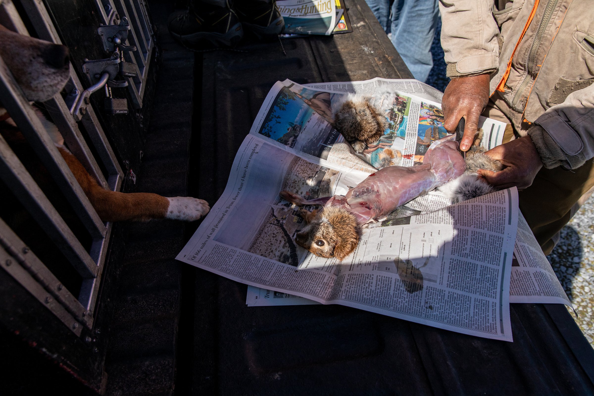 Rabbit Hunting_2020-02-27_TSUCALAS_9008.jpg