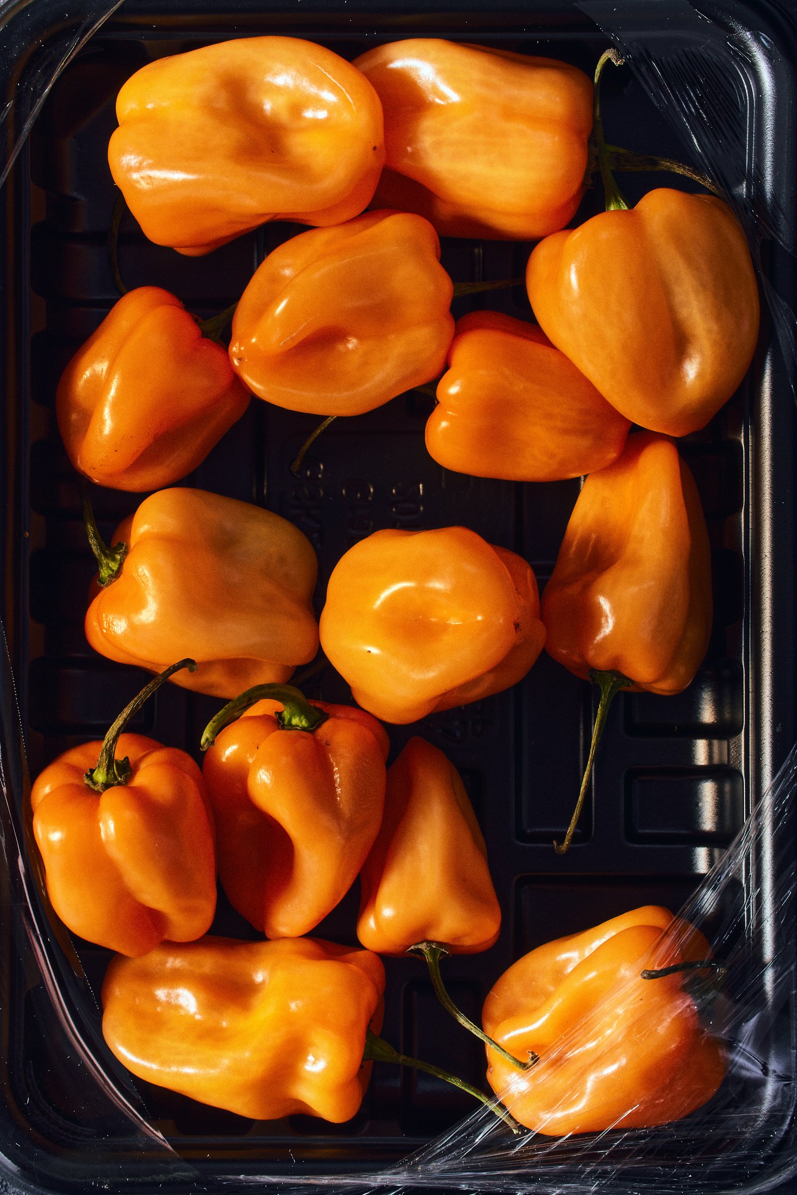 sansho_pepper_yakitori_flavor_forecast_0673.jpg