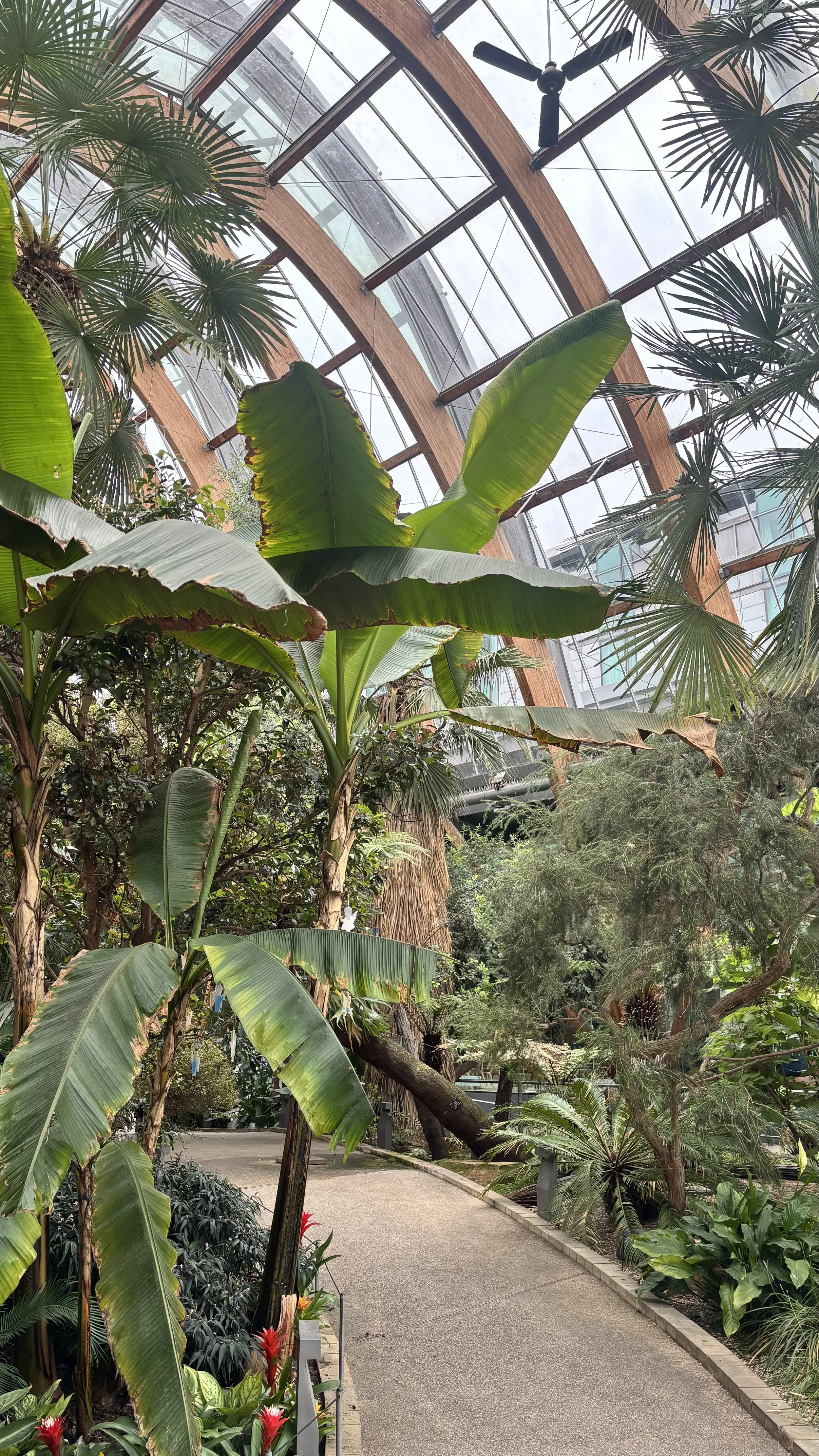 Botanical Gardens.JPG