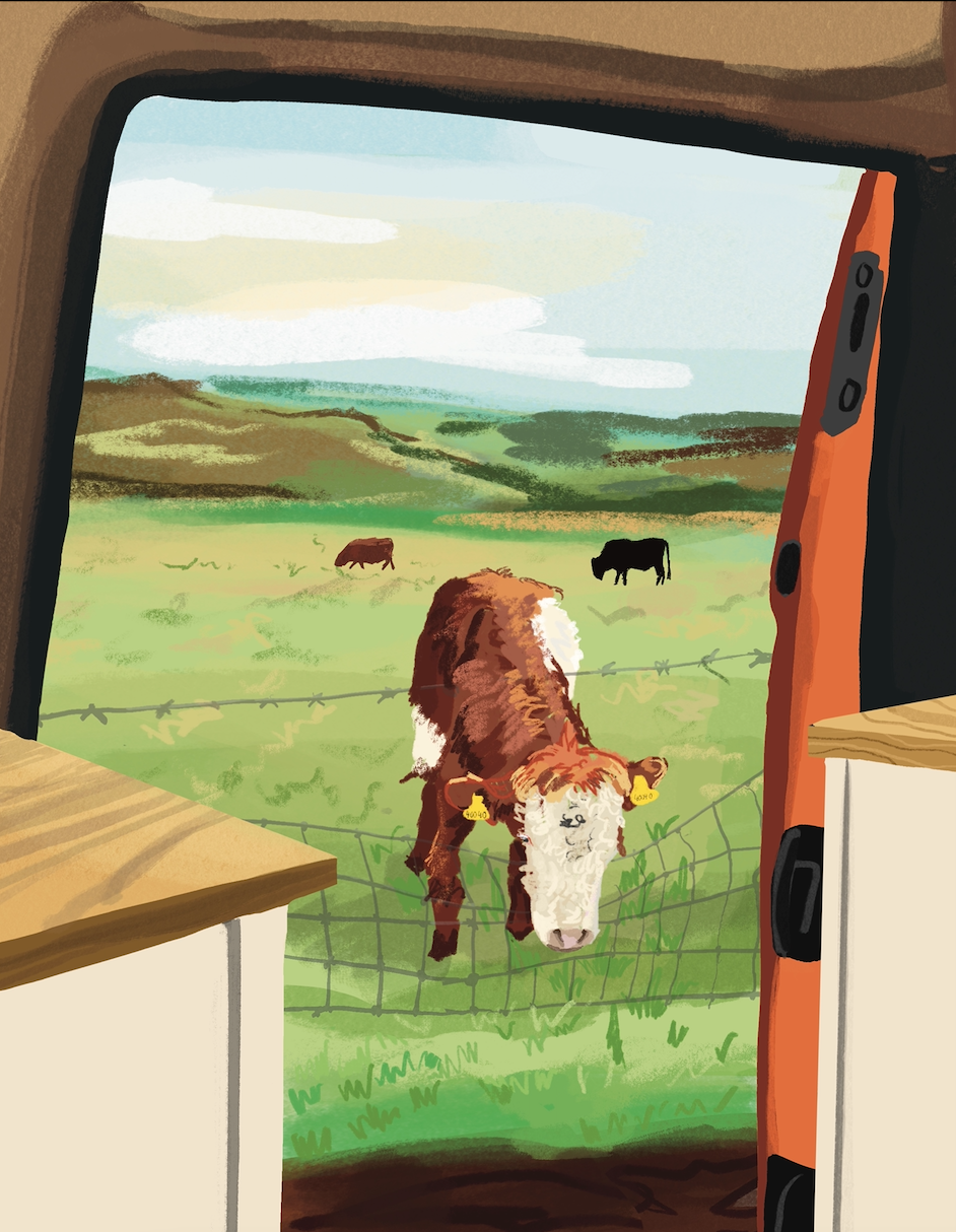 Peak District doodles