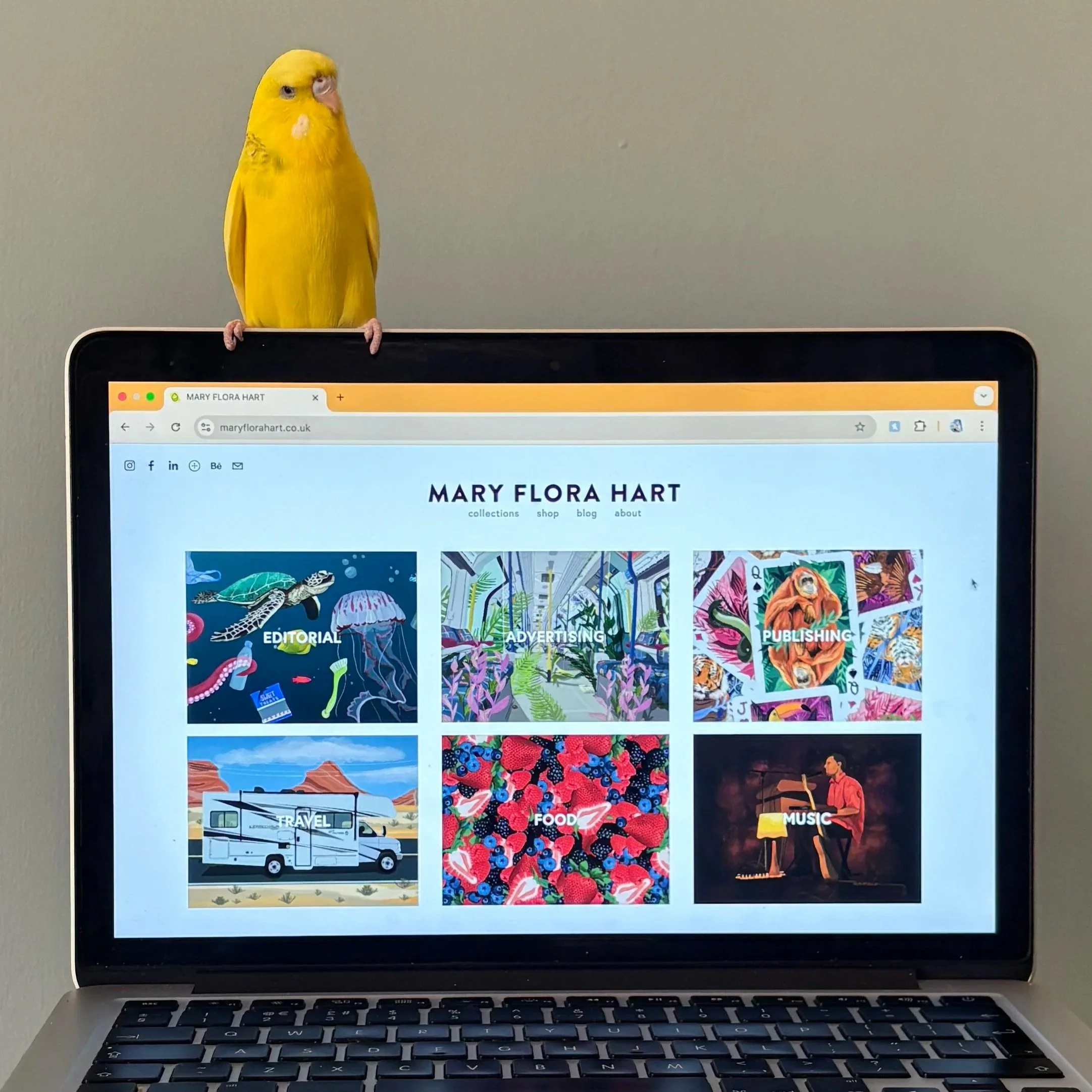 website updates.jpg