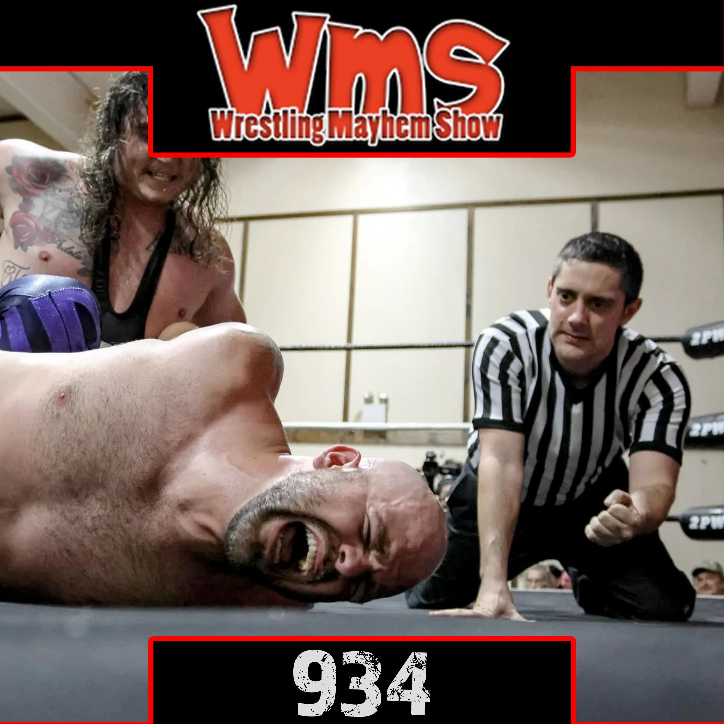 Wrestling Mayhem Show 934: You Lose Your Woo With Age