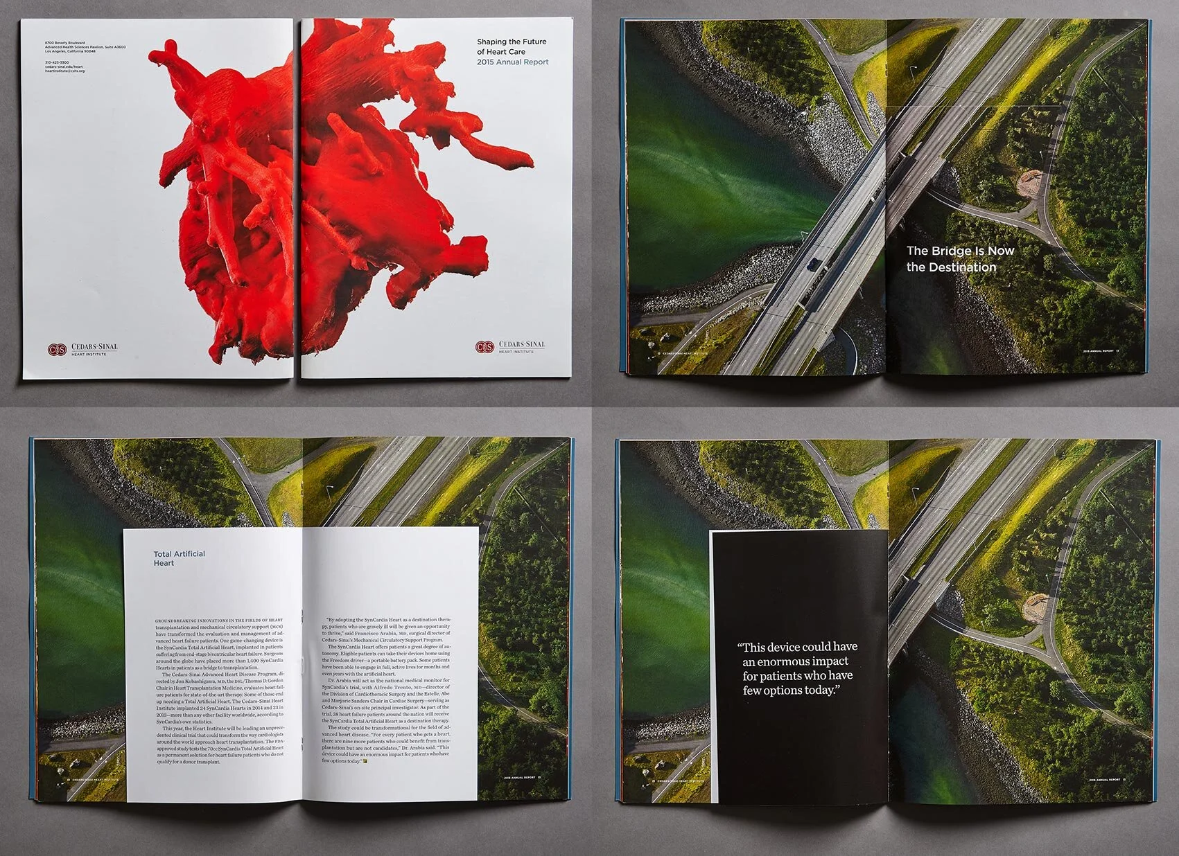 Annual Report: Cedars-Sinai