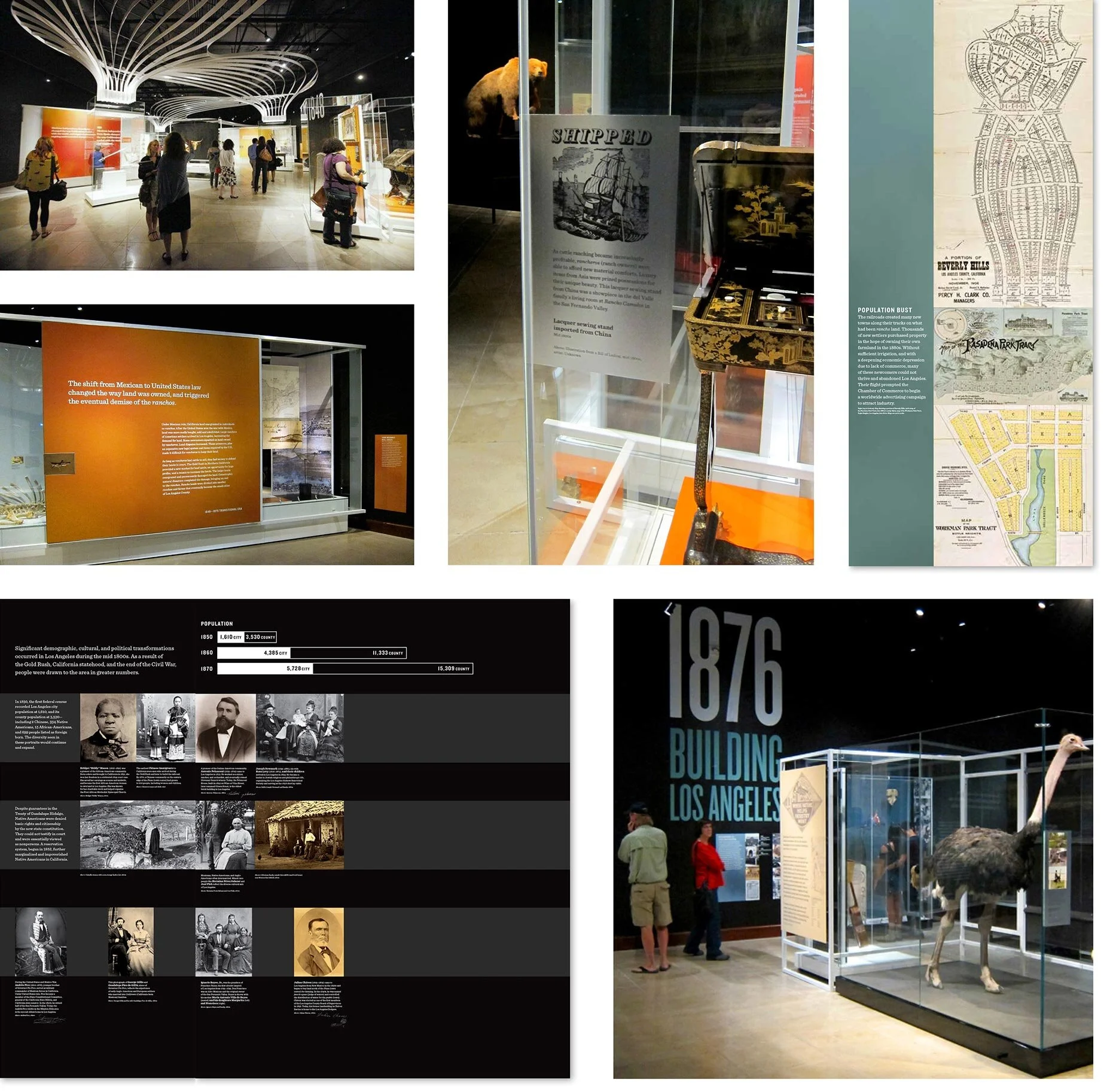 Exhibition: Natural History Museum