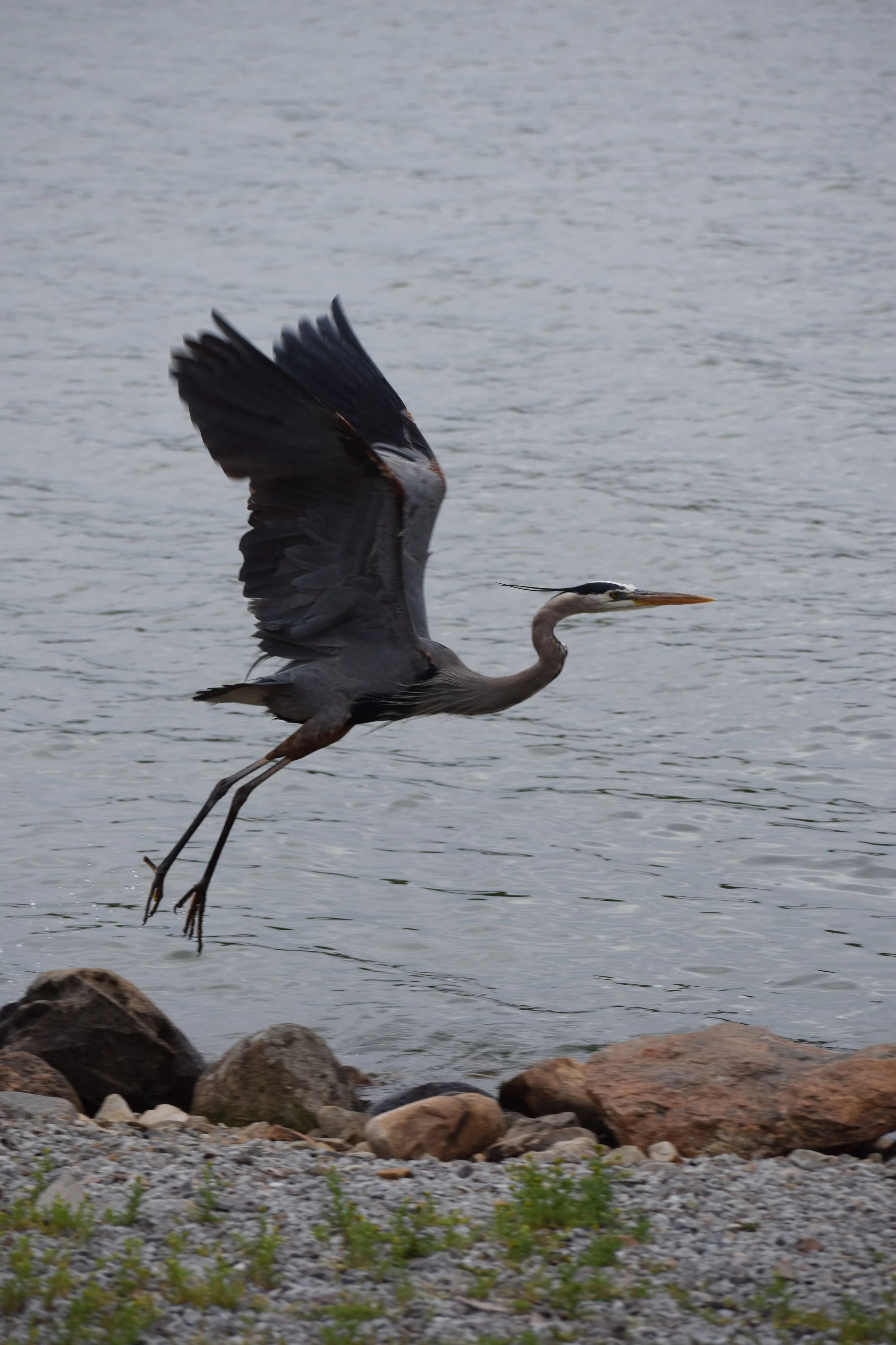DSC_0367.JPG