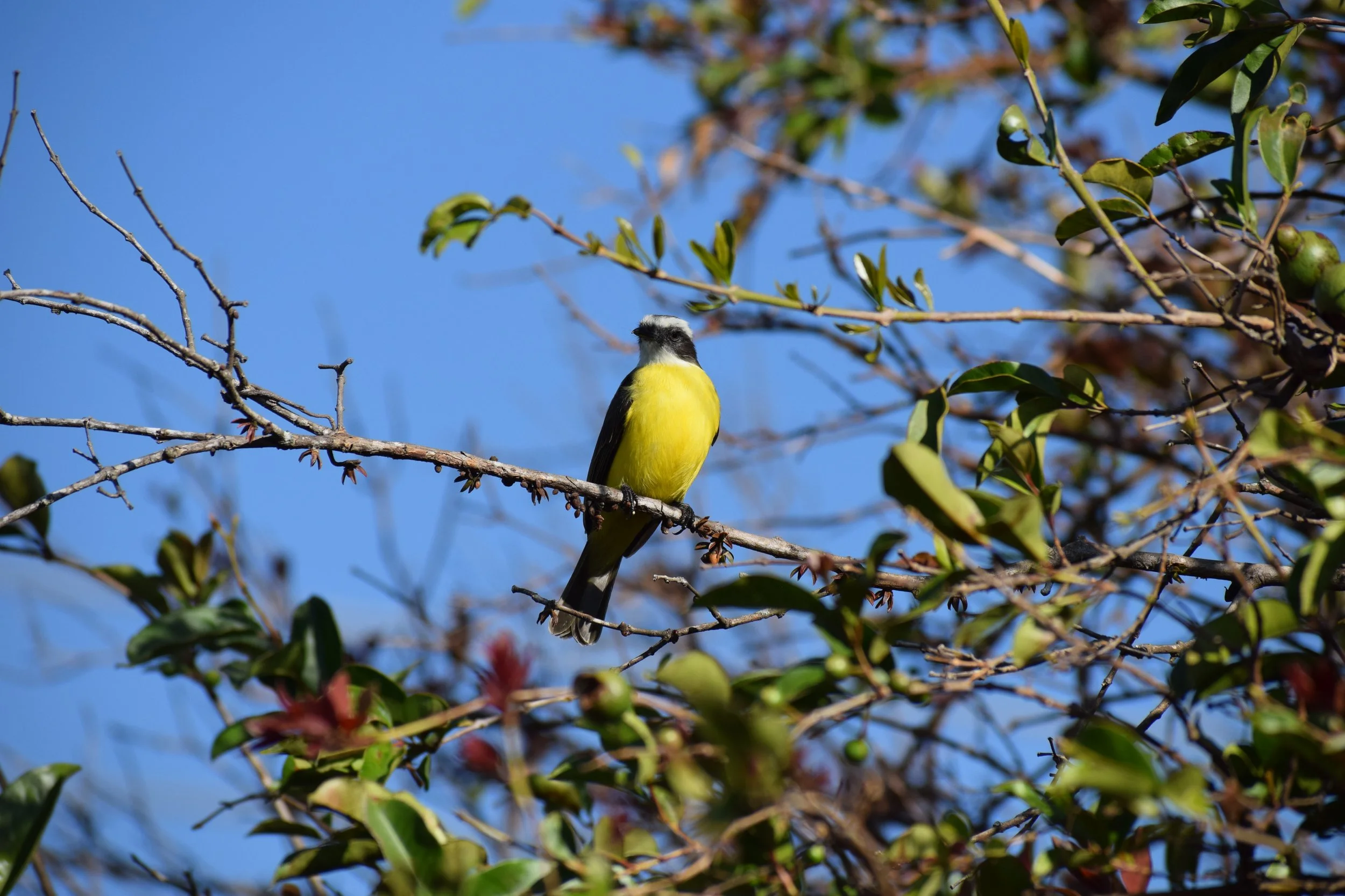 DSC_0872.JPG