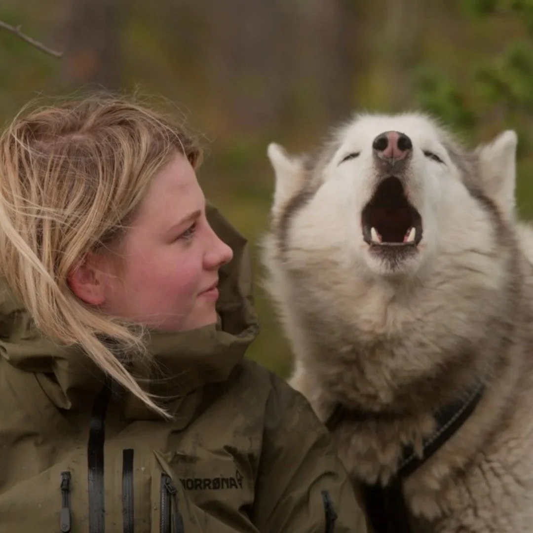 If you thought high school was hard, try taking classes in the Arctic Circle. FOLKTALES follows students attending Norway&rsquo;s Pasvik Folk High School where teens receive a much different education, including survival training, dog mushing, and hu