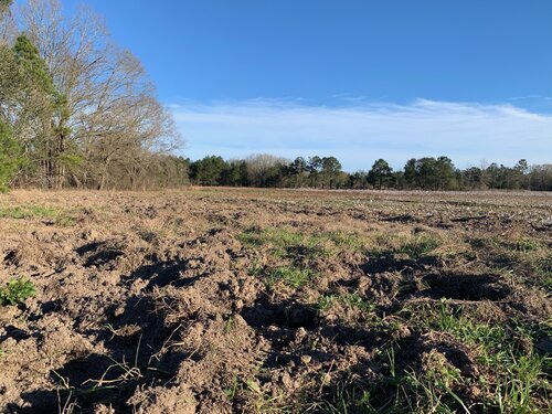 Pig Problem... Solver!