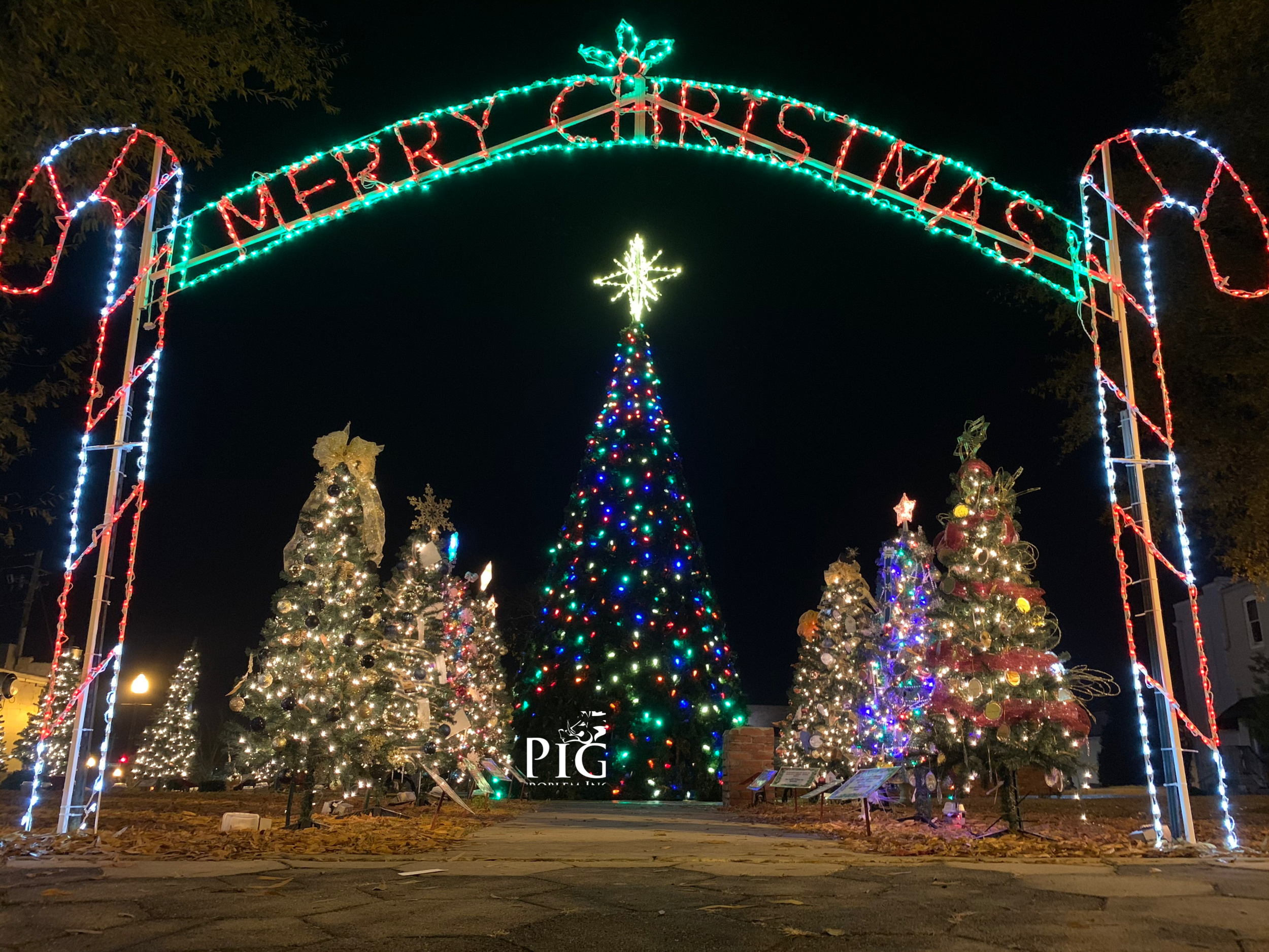 Merry Christmas