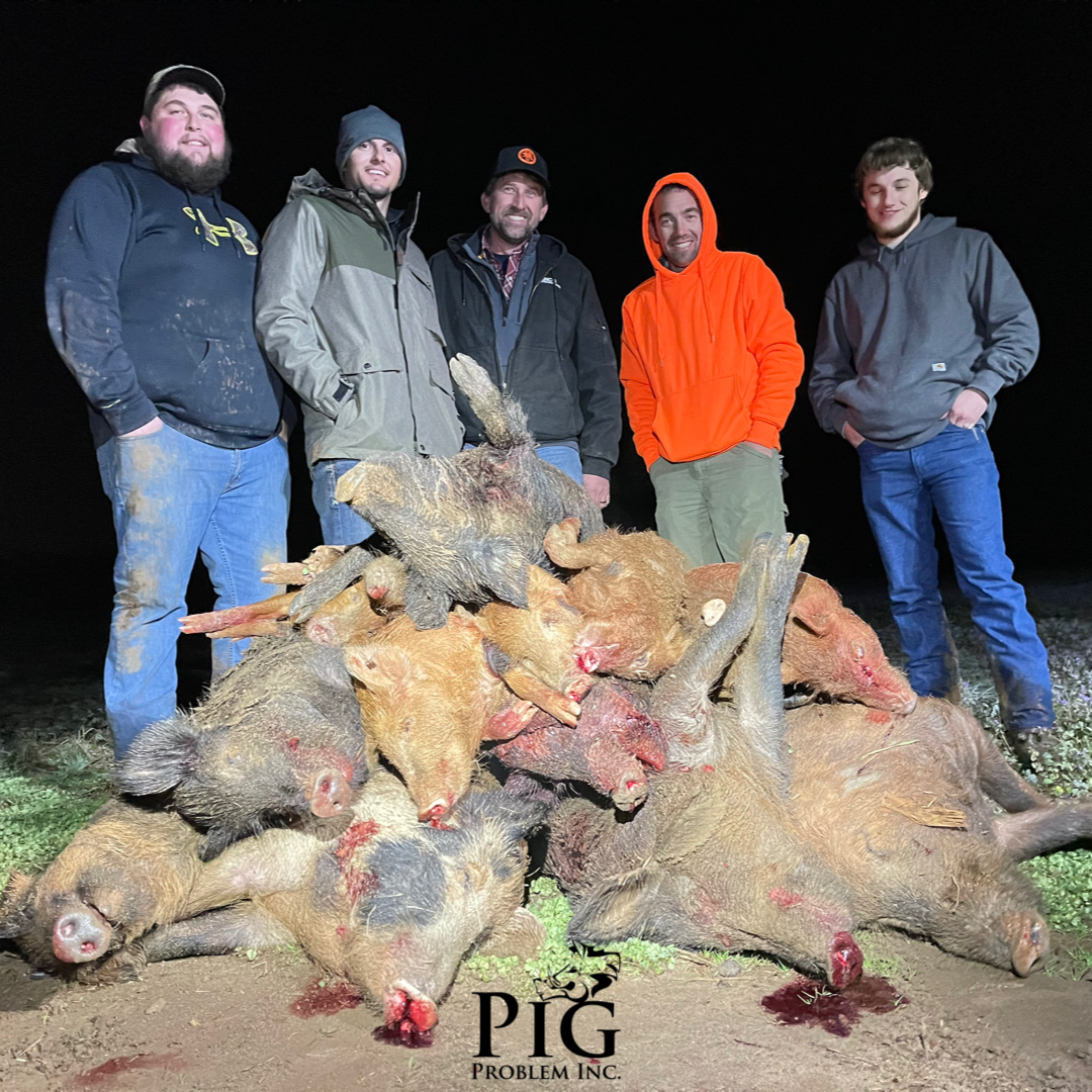 A Happy Pile Of Pigs