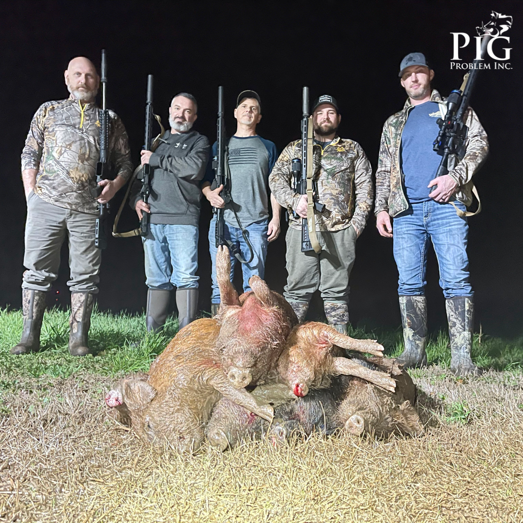 Another Great Night Of Hog Hunting