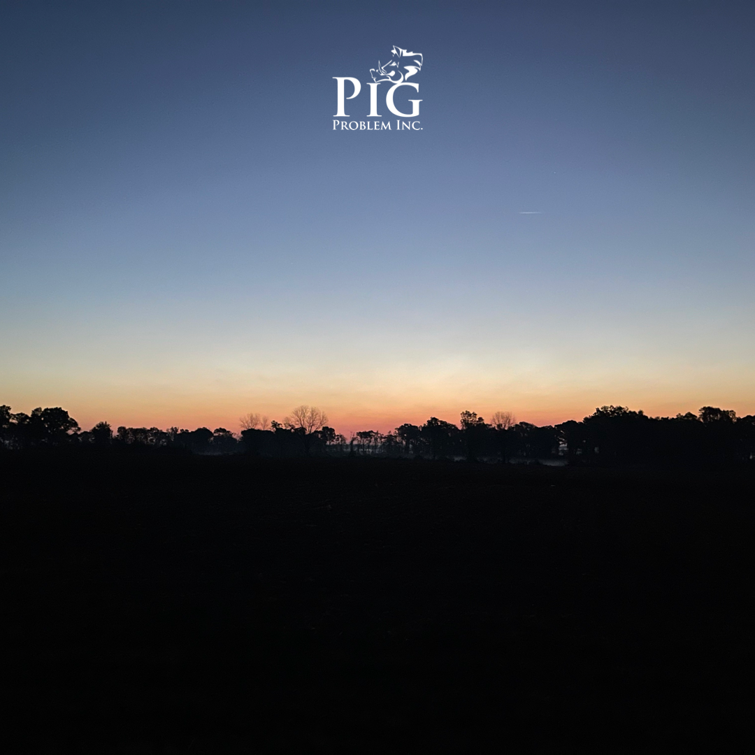 Good Morning Georgia