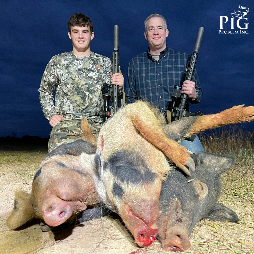 Another Night Of Hog Hunting