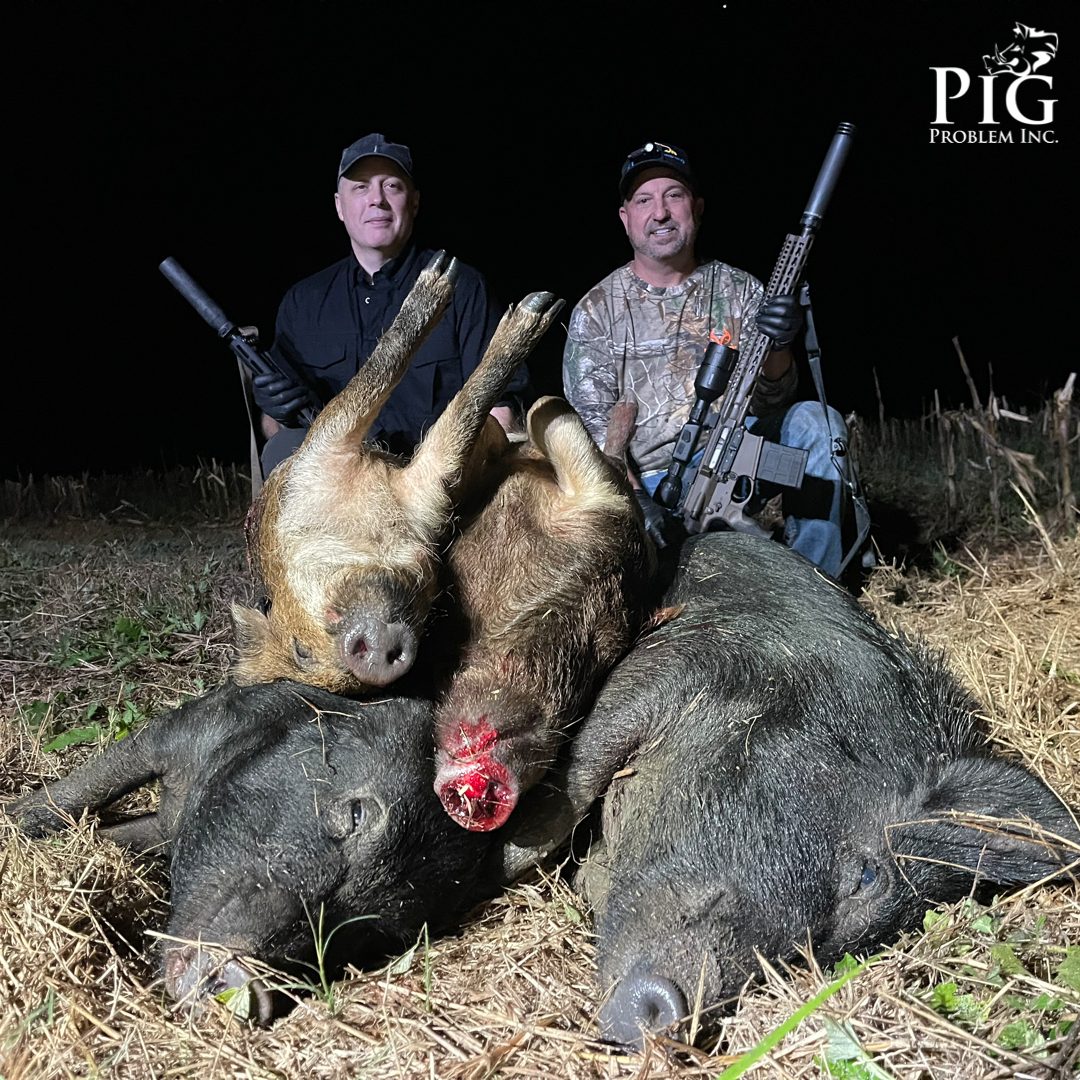 Brian & Todd's Hog Hunt