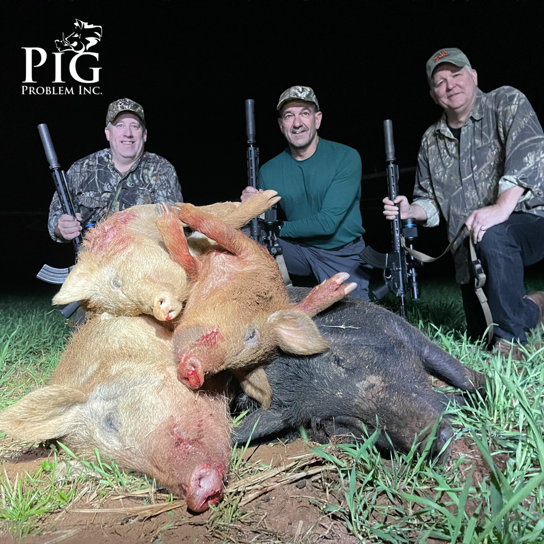 Night Hog Hunting Georgia