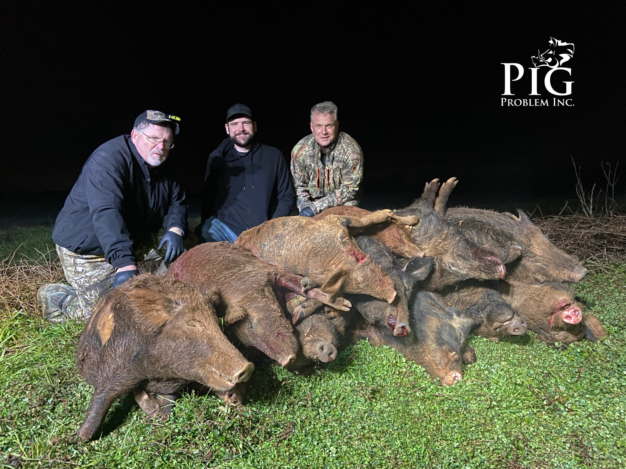 Pig Pile In Georgia